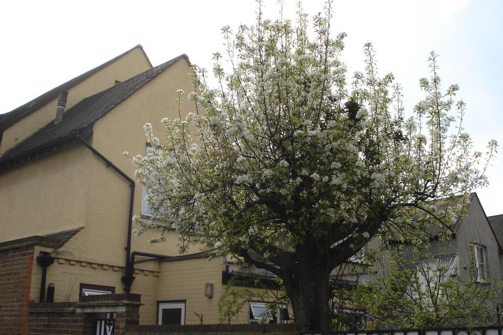 Compton Guest House Лондон Екстериор снимка